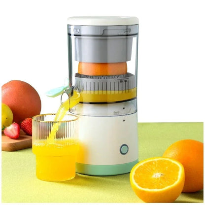 Electric Stainless Fruit Juicer