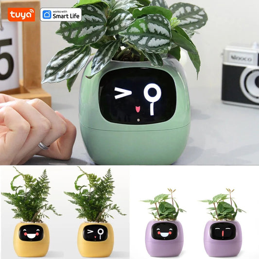 Tuya Ivy Smart Planter