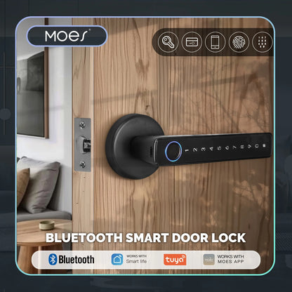 Biometric Fingerprint Smart Door Lock