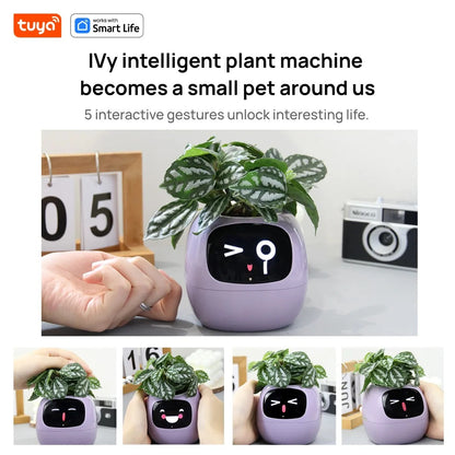 Tuya Ivy Smart Planter