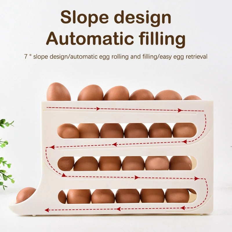 Egg Case Holder