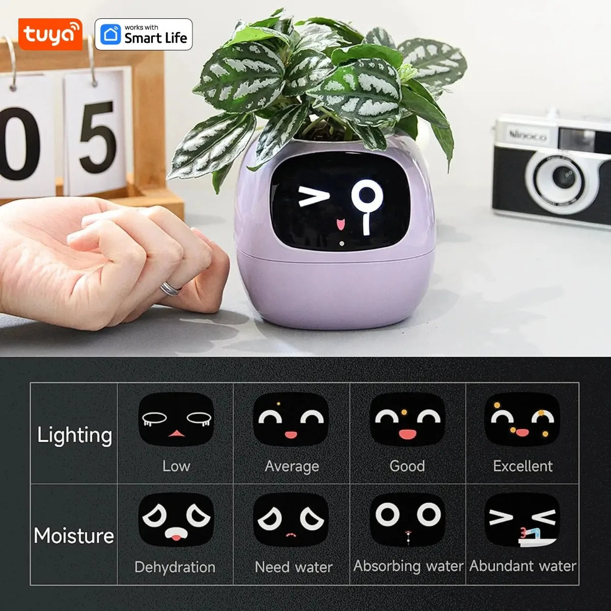 Tuya Ivy Smart Planter