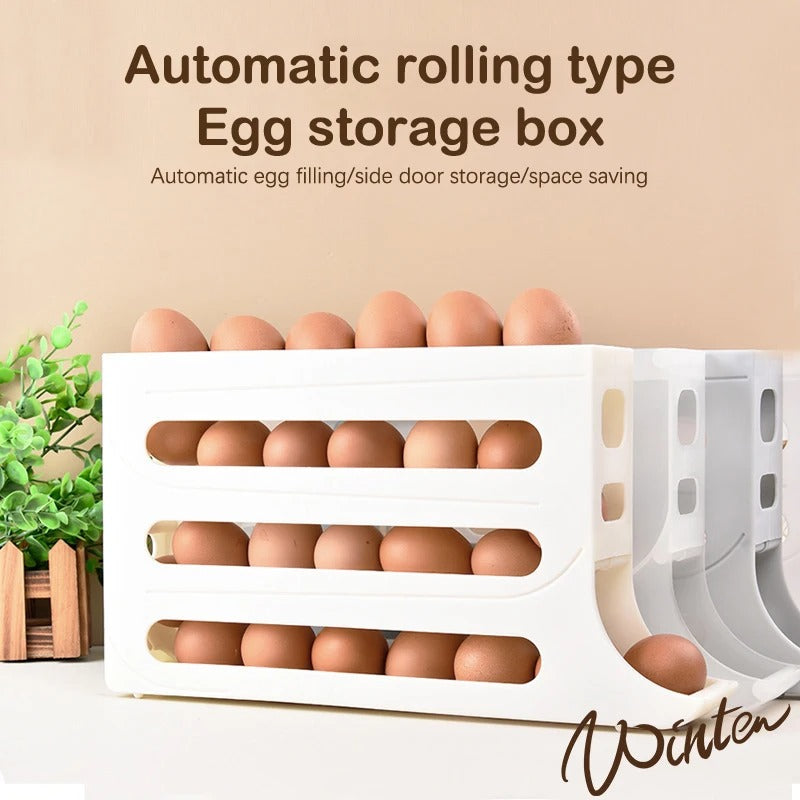 Egg Case Holder