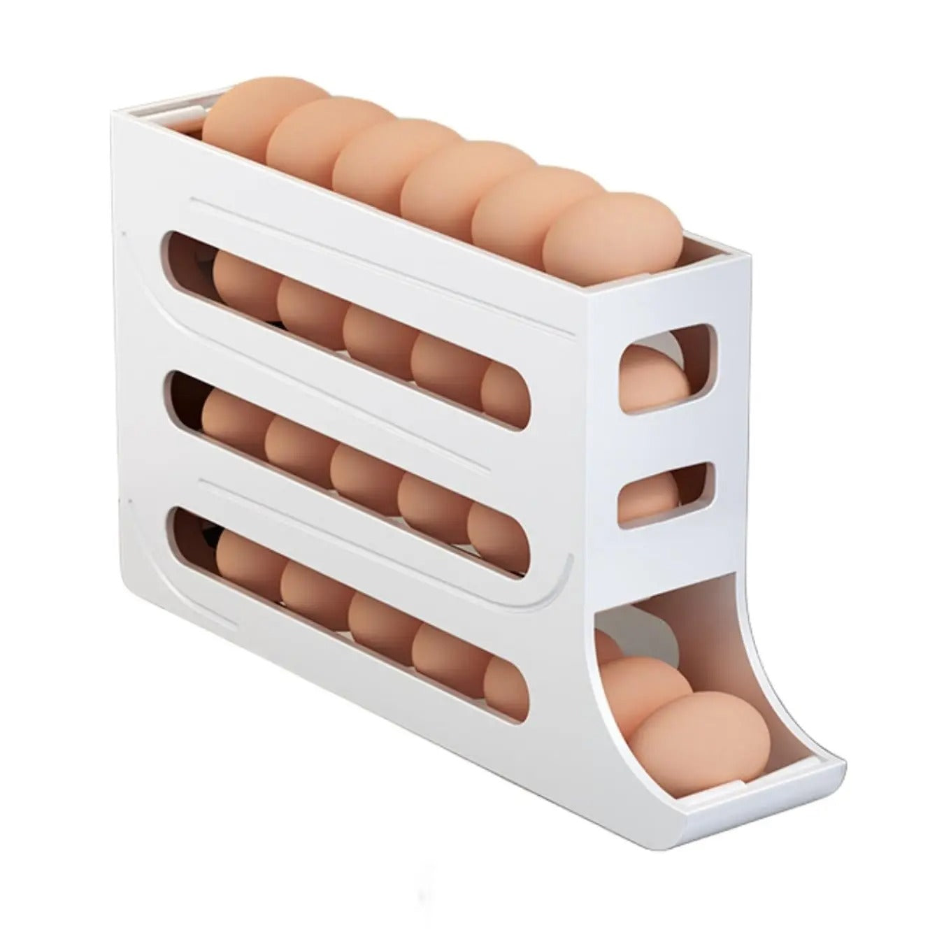 Egg Case Holder