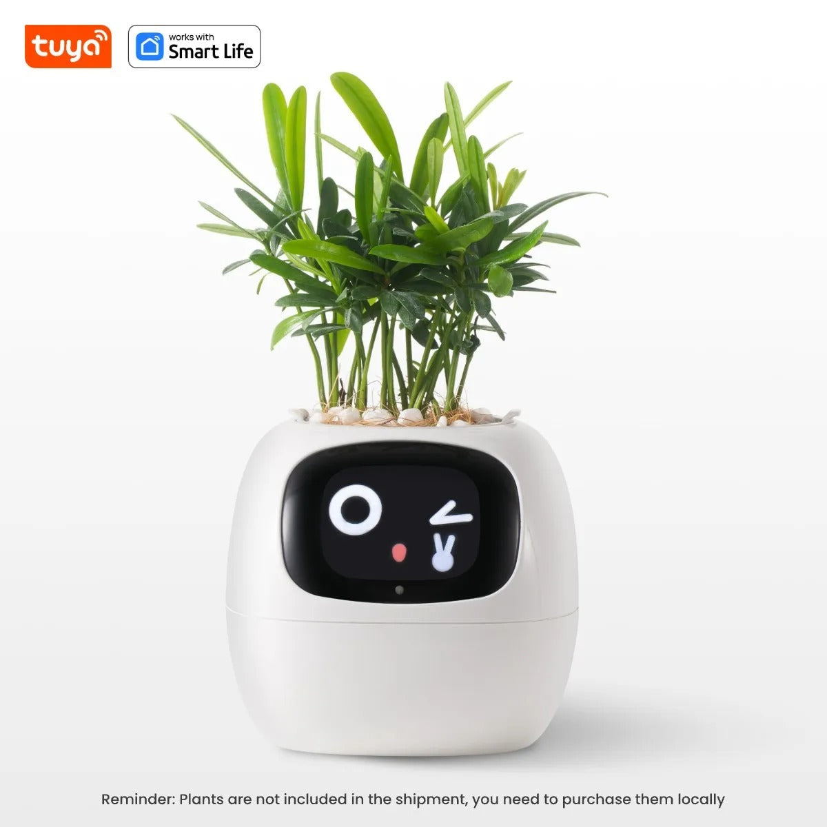 Tuya Ivy Smart Planter